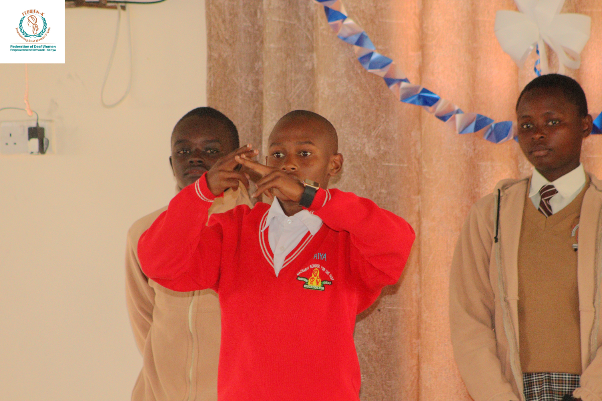 Lumii_20240615_235354312